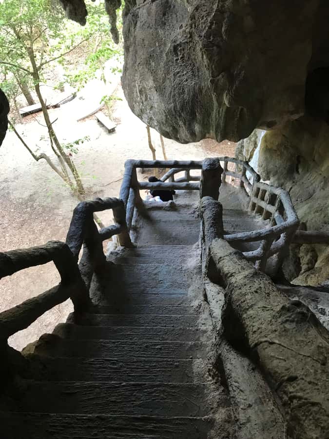 Krabi: Half-Day Mangrove Boat Trip And Khao Khanap Nam Cave - Price and value at around $38: what you’re paying for