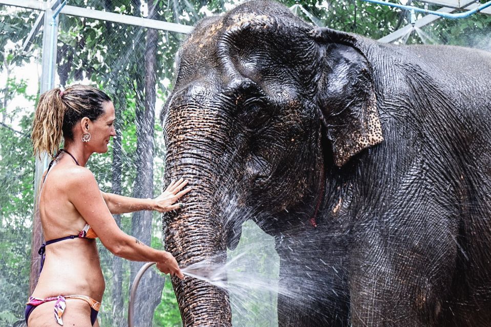 Krabi: Highlights Tour with Krabi Elephant Shelter - The real start: pickup, timing, and the before-you-get-wet briefing