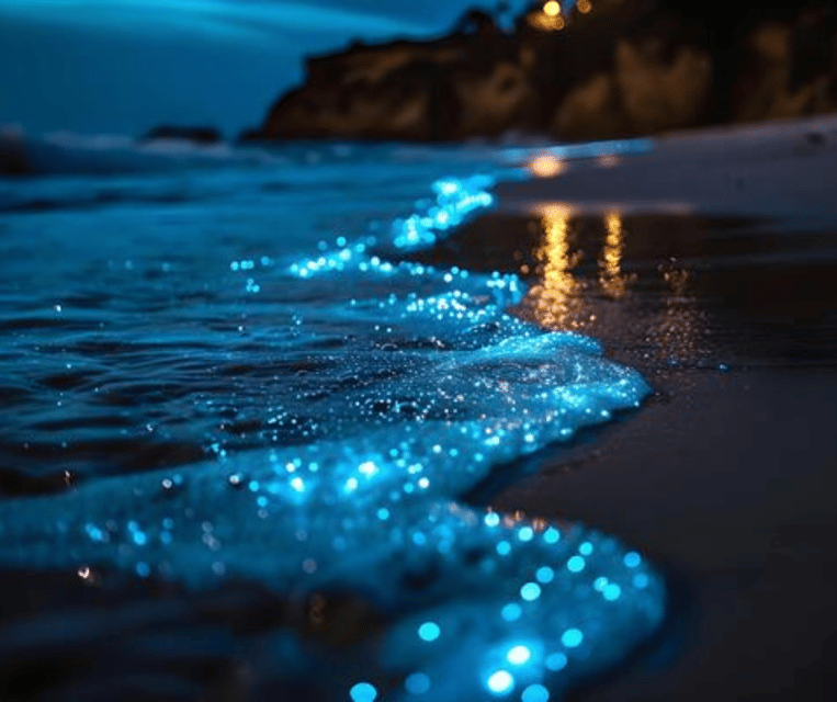 Krabi: Hong Islands Sunset, Bioluminescent Plankton and BBQ - Price and value: what you are really paying for