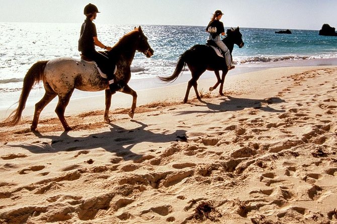 Krabi Horse Riding at Ao Nam Mao Beach - Key things I’d plan around