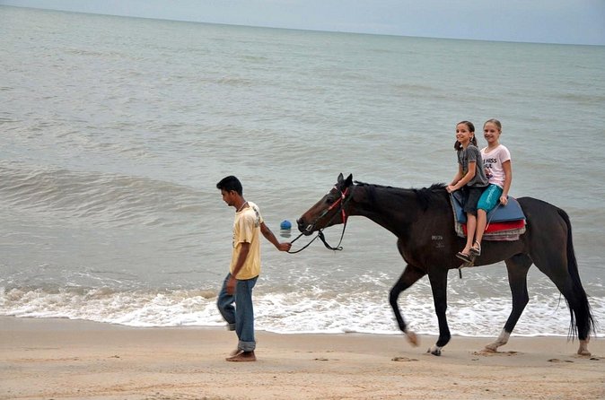 Krabi Horse Riding at Ao Nam Mao Beach - Beach Tracks to Countryside Farms: What the Route Is Like