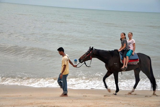 Krabi Horse Riding at Ao Nam Mao Beach - The Big Question: Are the Horses Well Taken Care Of?