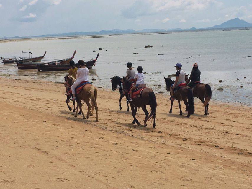 Krabi: Horseback Riding on the Beach - From Aonang pickup to Ao Nam Mao stables: what really starts your day