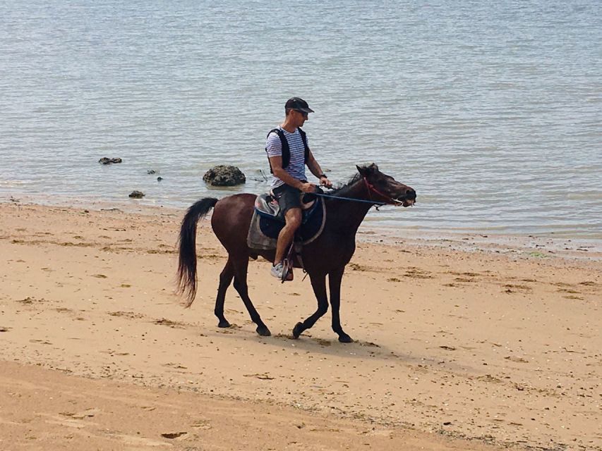 Krabi: Horseback Riding on the Beach - Fossil Beach and the shellfish tomb platform: the science stop that’s easy to miss