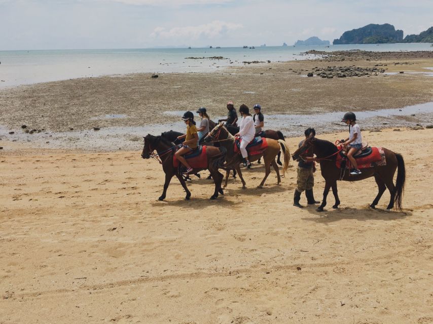 Krabi: Horseback Riding on the Beach - Countryside lanes and plantations: why the route feels more local
