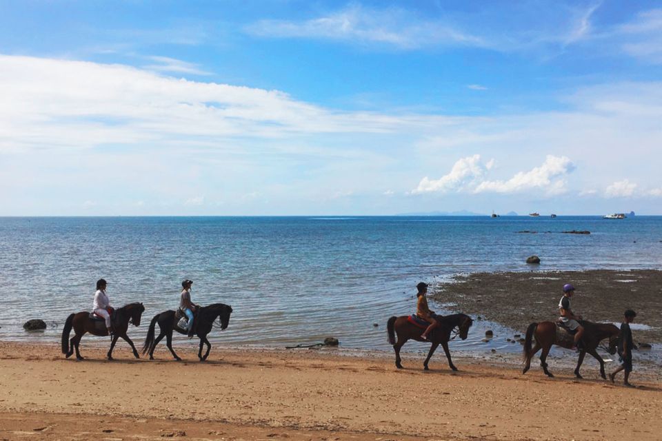 Krabi: Horseback Riding on the Beach - Price and value: is $62 worth it for Krabi horseback time?