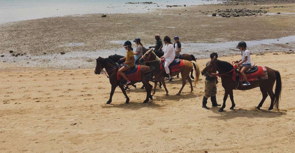 Krabi: Horseback Riding on the Beach - 1 hour, 2 hours, or 1:30 sunset: picking the right horse time