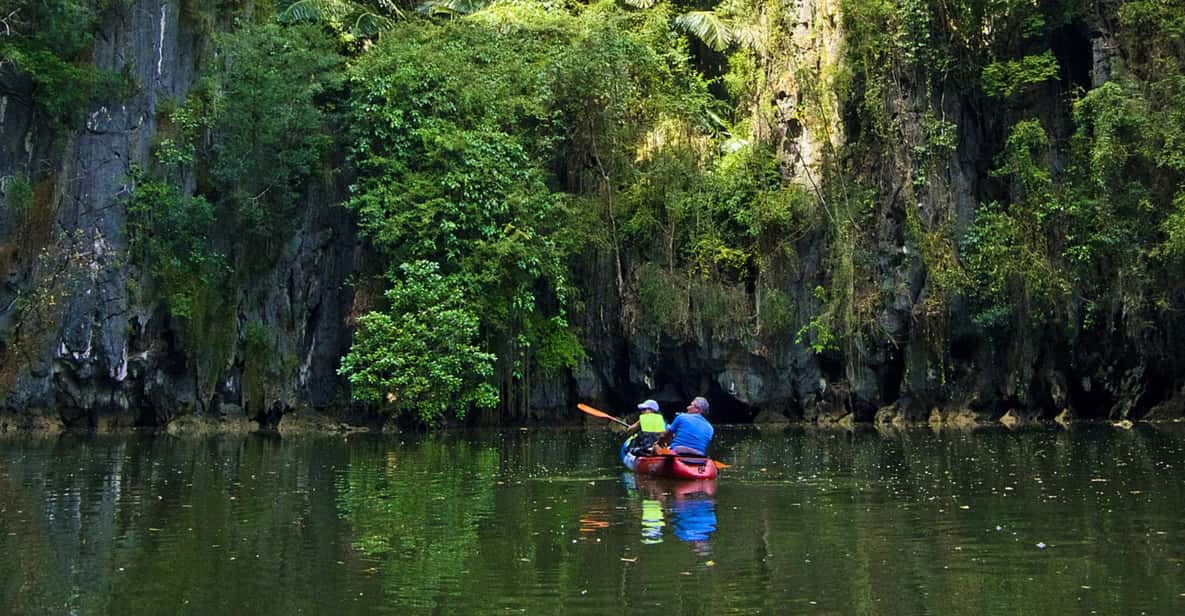 Krabi: Kayak Adventure through Ao Thalane Mangrove Forest - Mangrove Forest Paddling: Calm Water With Real Botany Energy