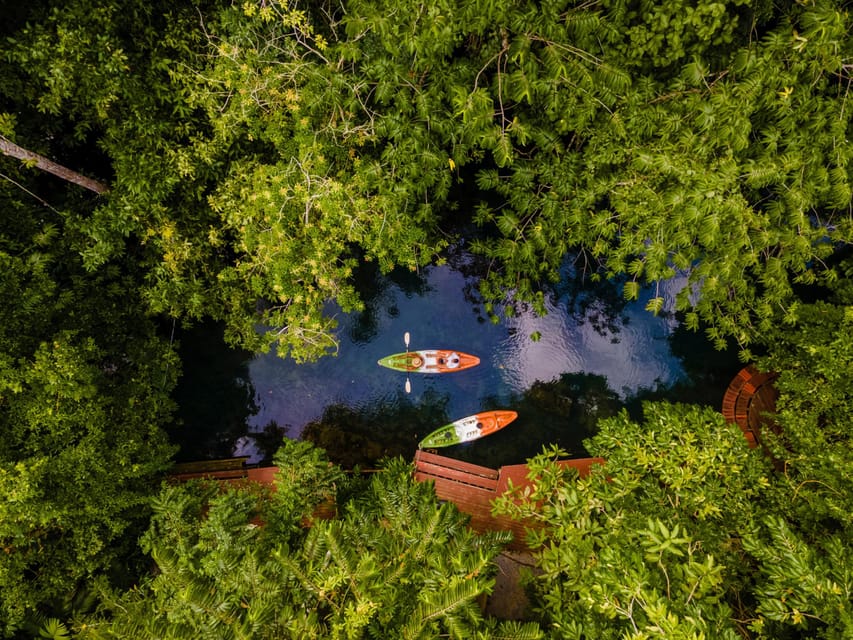 Krabi: Kayak Adventure through Ao Thalane Mangrove Forest - The Canyon-and-Cave Sections: How the Scenery Changes