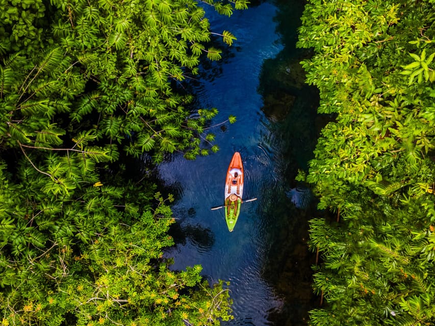 Krabi: Kayak Adventure through Ao Thalane Mangrove Forest - Tide Reality Check: Why Morning Often Wins