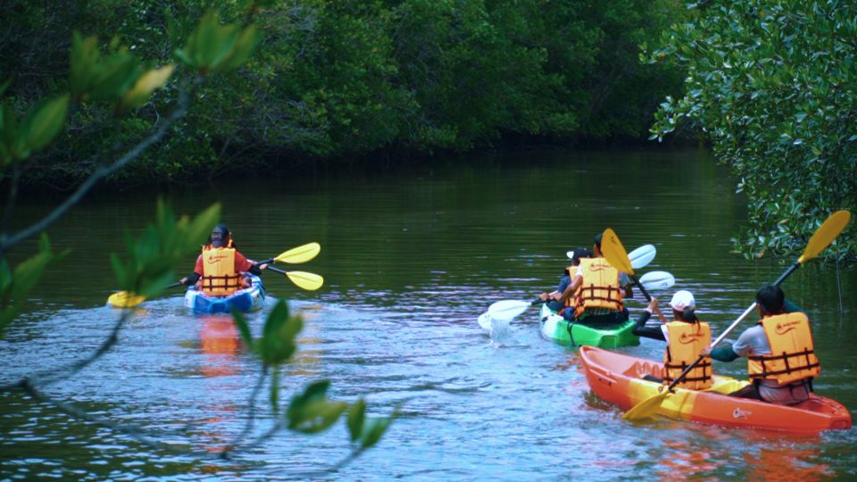 Krabi: Kayak in Mangrove Forest with Meal Aonang - Why Kayaking the Ao Nam Mao Mangroves Feels Different Than Ao Nang