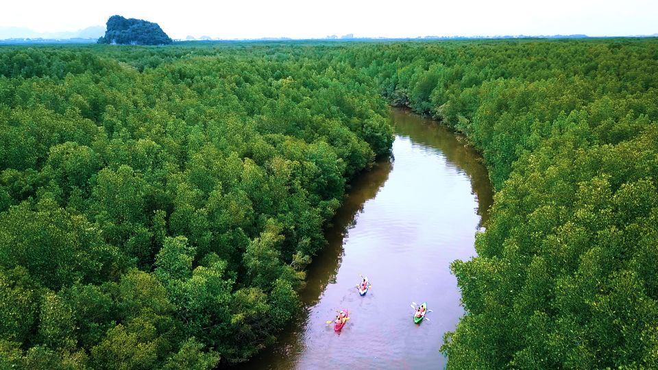 Krabi: Kayak in Mangrove Forest with Meal Aonang - Lunch Break in Nature: What the Meal Feels Like at Midway