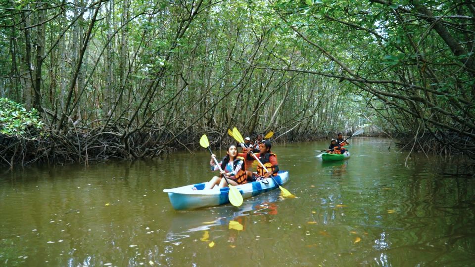 Krabi: Kayak in Mangrove Forest with Meal Aonang - The 90-Minute Flow: Hotel Pickup to Drop-Off
