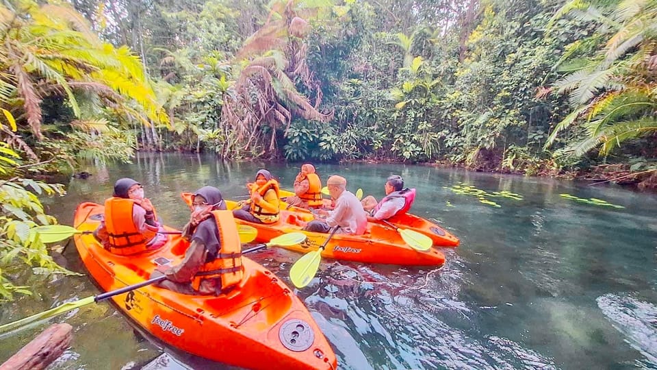 Krabi kayaking and swimming clongrood Tour - Under-the-trees rainforest time and wildlife spotting