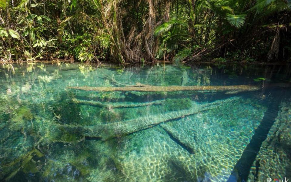 Krabi: Khlong Nam Sai Lagoon with Kayaking & Optional ATV - The Water, the Swim Option, and the Fruit Stops You’ll Remember