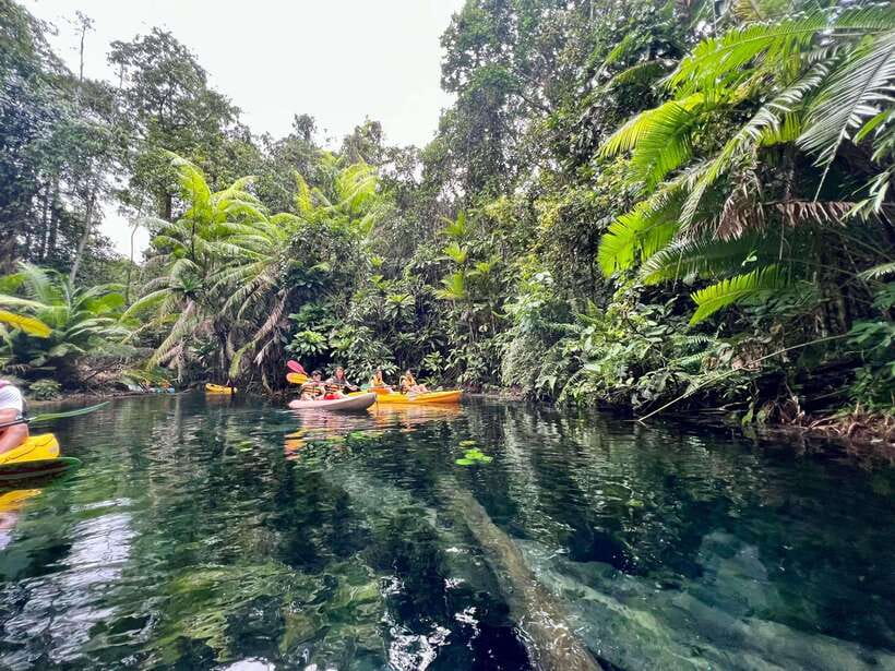 Krabi: Klong Root (Crystal lake) Kayaking tour - Key Things I’d Remember Before You Go