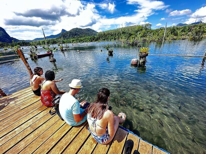 Krabi: Klong Root (Crystal lake) Kayaking tour - What’s Included for $27: Value That Makes Sense