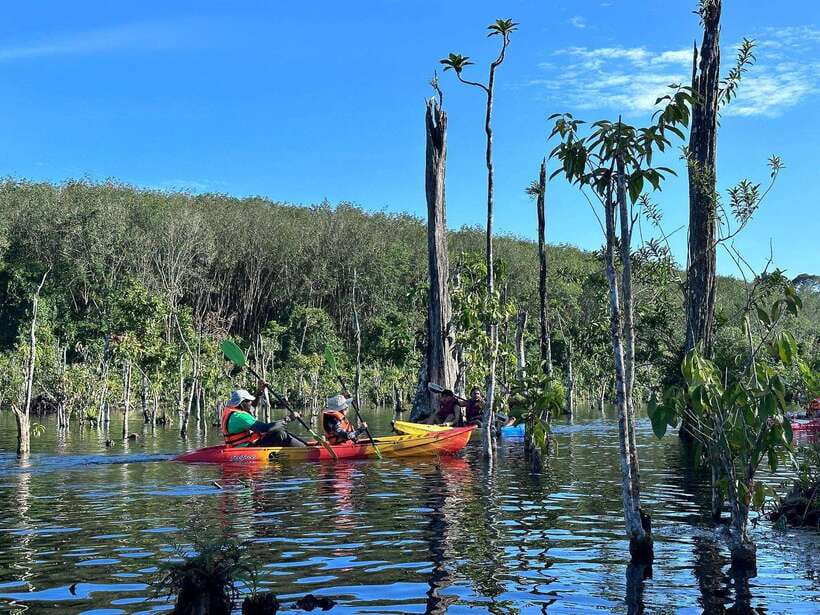 Krabi: Klong Root (Crystal lake) Kayaking tour - Kayaking Through the Clear Water Canal: The Main Event