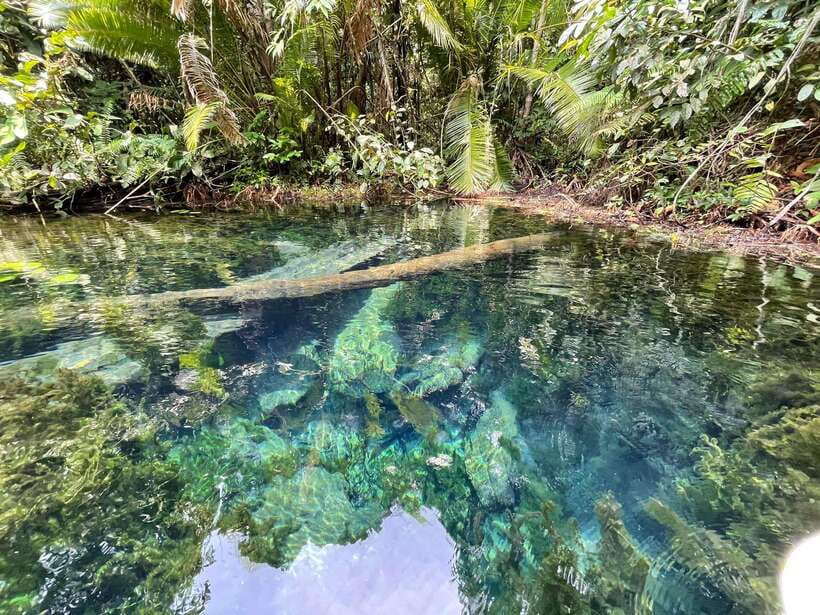 Krabi: Klong Root (Crystal lake) Kayaking tour - Getting to Klong Root: The Shortcut to “Start Paddling Faster”