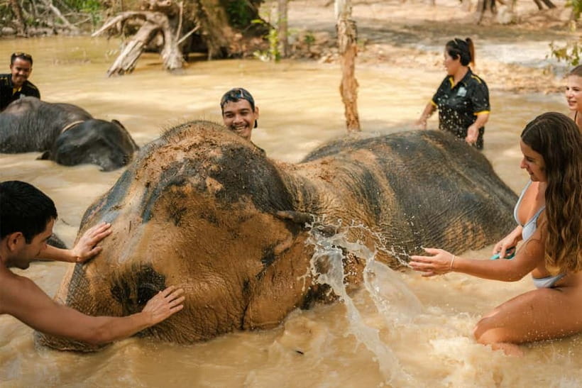 Krabi: Love Elephant Sanctuary Tour - Fruit prep and feeding: the small work that changes the whole vibe