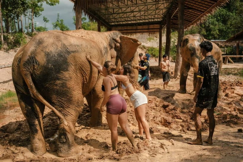 Krabi: Love Elephant Sanctuary Tour - Muddy spa and elephant bathing: your hands-on moment (and your wet one)