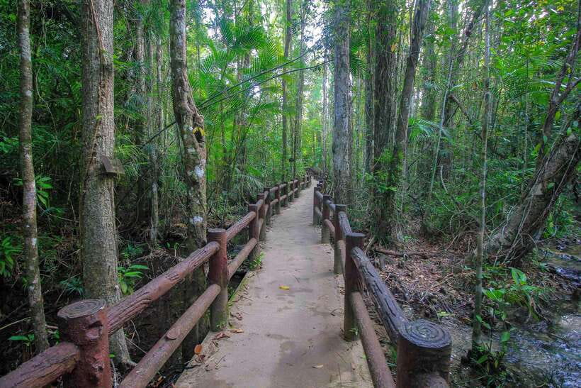 Krabi Outback Explorer to Emerald Pool & Wareerak Hotspring - Key things worth knowing before you go