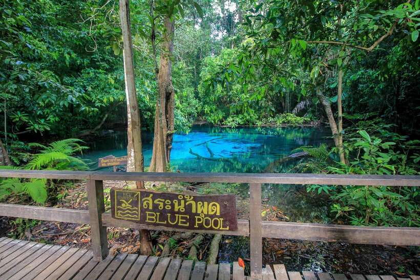 Krabi Outback Explorer to Emerald Pool & Wareerak Hotspring - Lunch at Khlong Thom Nuea: what to expect from the Thai meal break