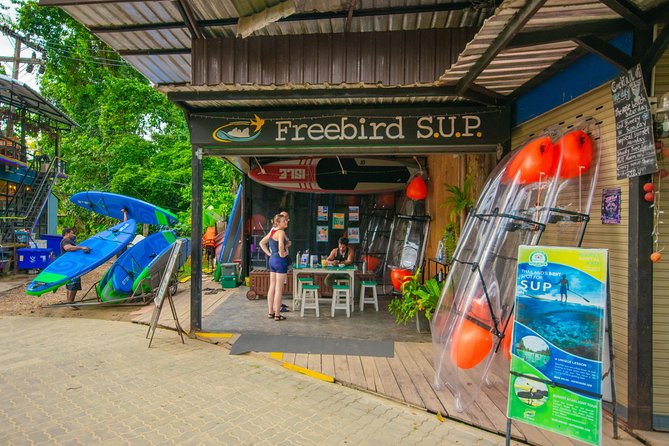 Krabi Stand-Up Paddleboard Illuminated Night Tour - Key Points You Should Know Before You Go