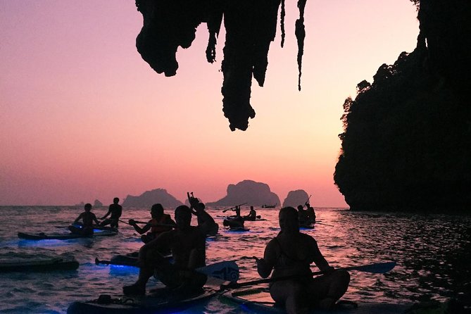 Krabi Stand-Up Paddleboard Illuminated Night Tour - What You See Under LED Light and Moving Water
