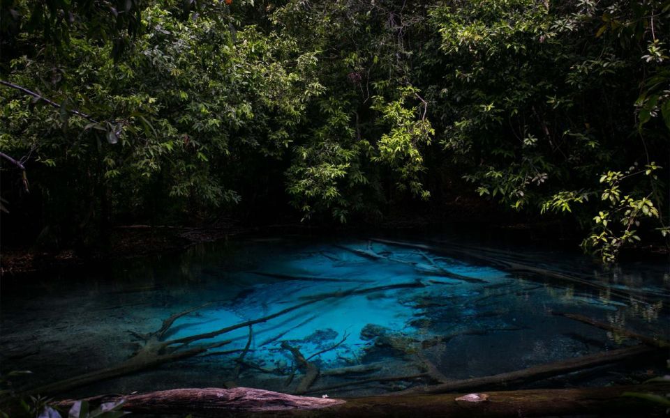 Krabi: Tiger Cave, Hot Springs and Emerald Pool Jungle Tour - Key things I’d plan around