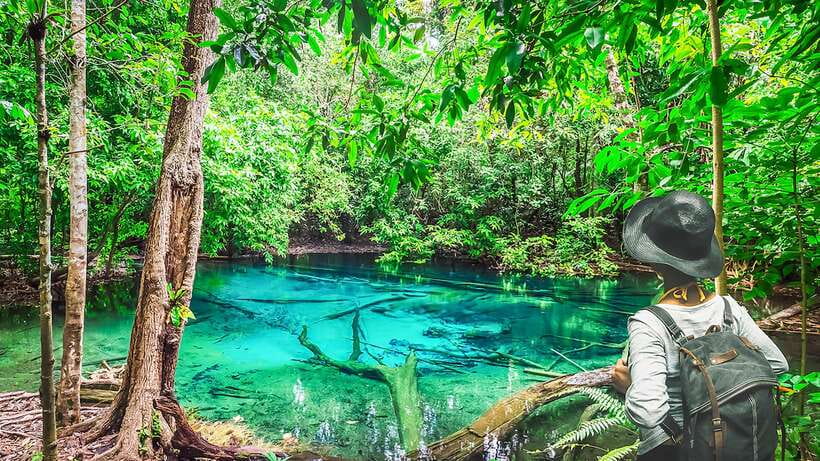 Krabi: Tiger Cave Temple, Emerald Pool and Hot Springs Tour - Krabi in One Long Day: What This Tour Really Delivers