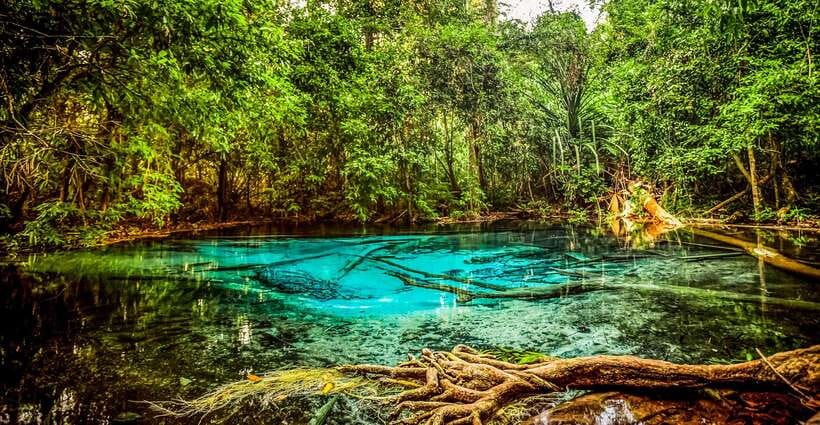 Krabi: Tiger Cave Temple, Emerald Pool and Hot Springs Tour - Who Should Book This Krabi Pools and Tiger Cave Tour
