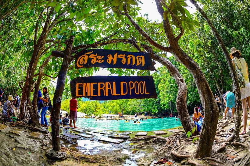 Krabi: Tiger Cave Temple, Emerald Pool and Hot Springs Tour - Logistics That Actually Matter: Pickup Area, Meeting Point, and What to Bring