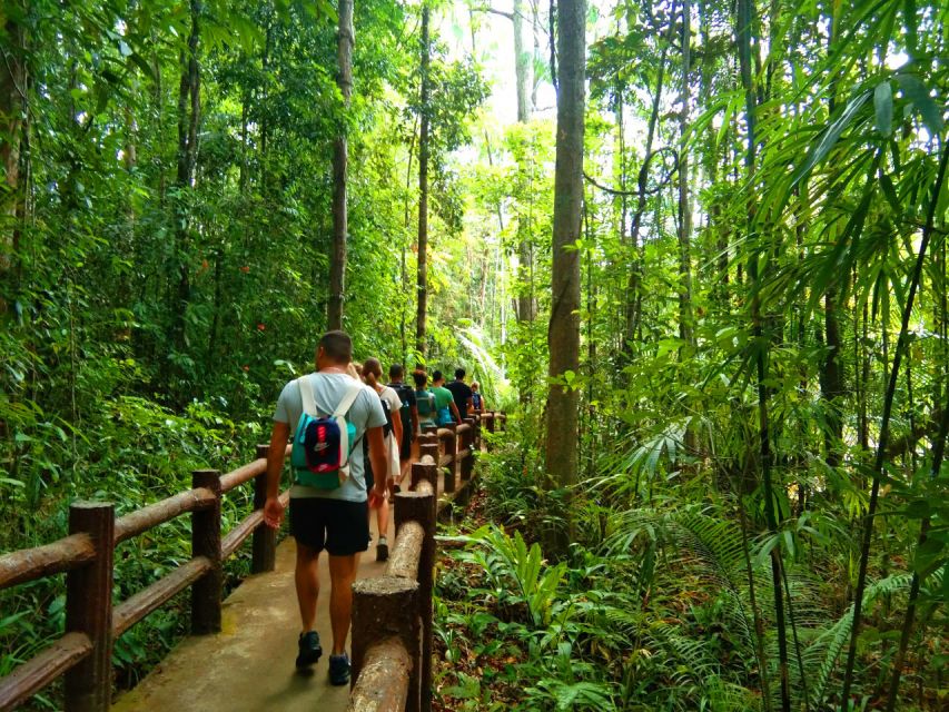 Krabi: Tiger Temple, Hot Springs & Crystal Pool Jungle Tour - Between Water Stops: Lunch, Fruit, and Monkey-Proof Snacks