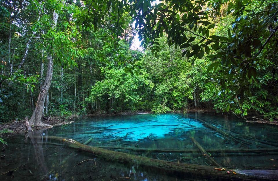 Krabi: Tiger Temple, Hot Springs & Crystal Pool Jungle Tour - Price and Value: What $56 Really Buys You