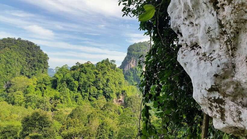 Krabi: Ziplining with Abseiling and Rock Climbing Options - Price and value: is it worth $50?