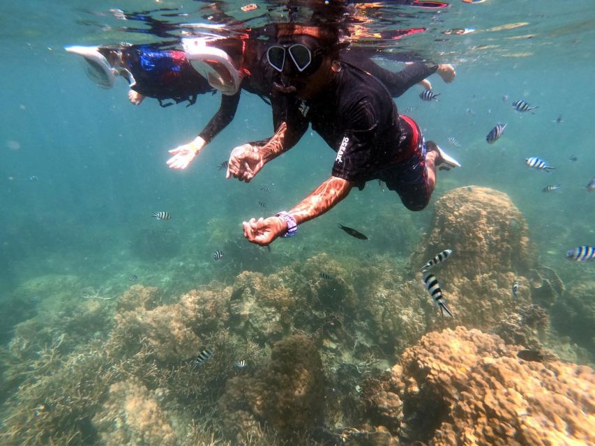 Phi Phi: Half-Day Phi Phi Snorkeling Trip by Longtail Boat - Safety and who should skip this snorkeling trip