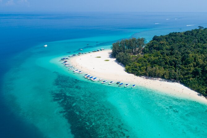 Phi Phi Islands Speedboat Tour Adventure from Krabi - Ko Phi Phi Leh Snorkeling: Coral Reefs, Short Swim Blocks