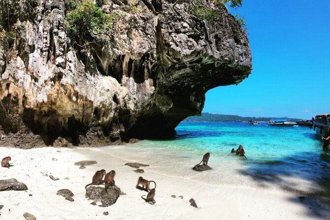 Phi Phi Islands Speedboat Tour Adventure from Krabi - Viking Cave Pass-By and Monkey Beach: Quick Stops With Strong Photo Payoff