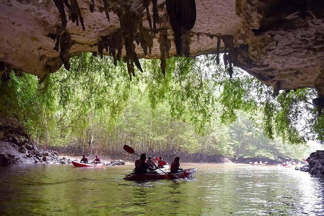 Phi Phi, Maya and Bamboo Islands Day Tour by Speedboat in Krabi - Should you book this Phi Phi day tour from Krabi?