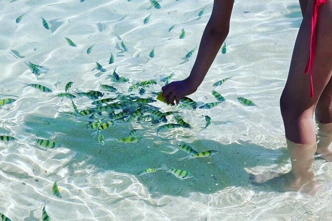 Private Longtail Boat Tour to Hong Islands - Guides and captains: what to watch for on the day
