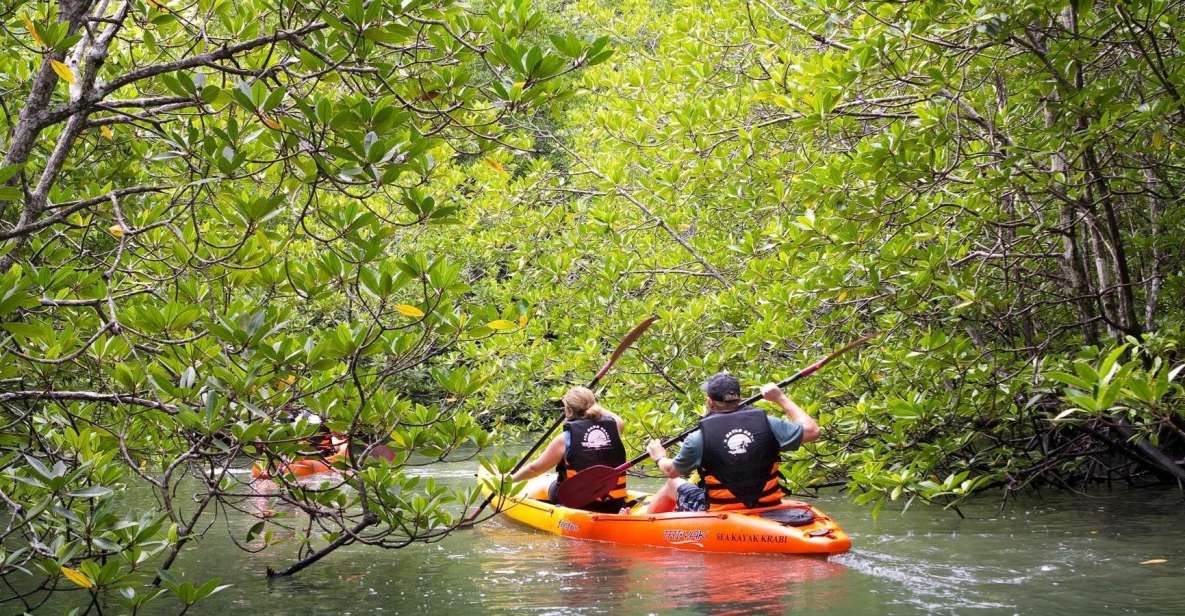 Sea Kayaking in Ao Thalane & Optional Full-Day Hong Island - Fitness level and who should skip this