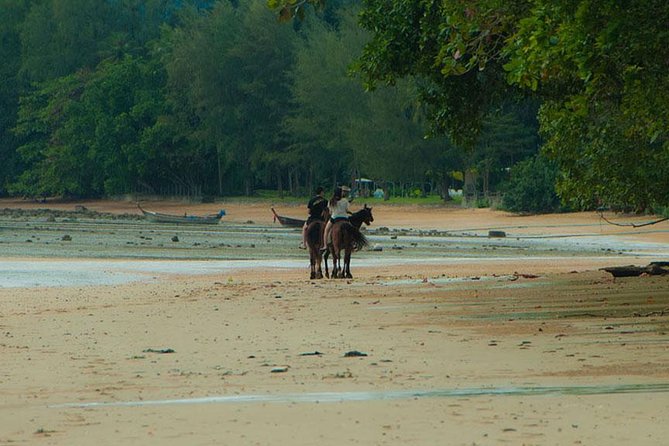 Sunset Horse Riding Tour at Ao Nam Mao Beach Krabi - The 5:00 pm Itinerary: Pickup, Farm Prep, and Beach Time