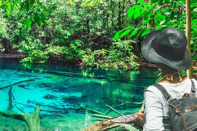 Tiger Cave Temple, Emerald Pool & Hot Springs Tour from Krabi - Key highlights you’ll feel right away